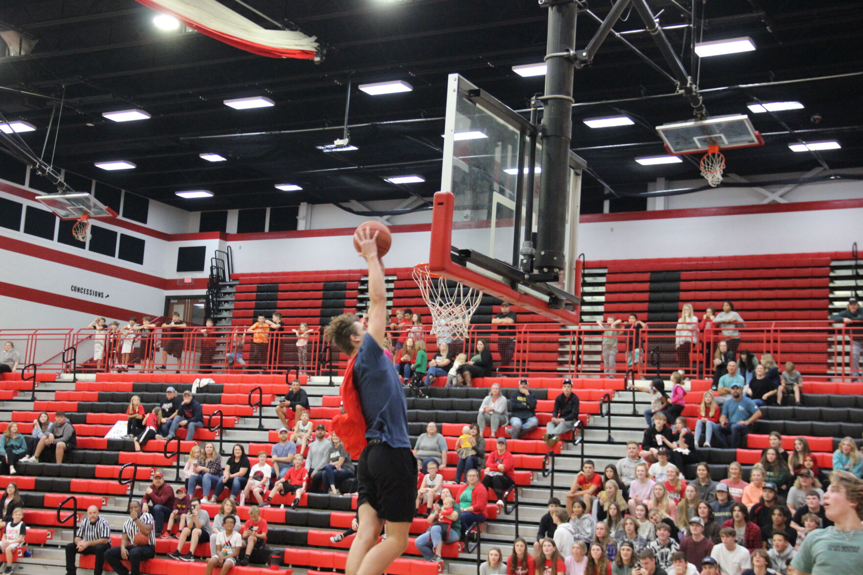 It's a bird! It's a plane!